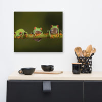 Three Tiny Green Red Eyed Tree Frog Photograph Canvas Wall Art Print