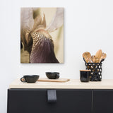 Japanese Iris Delight Aged Floral Nature Canvas Wall Art Prints