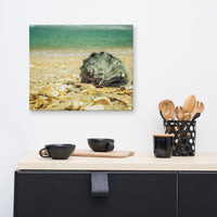 Daydreams on the Shore Coastal Nature Canvas Wall Art Prints