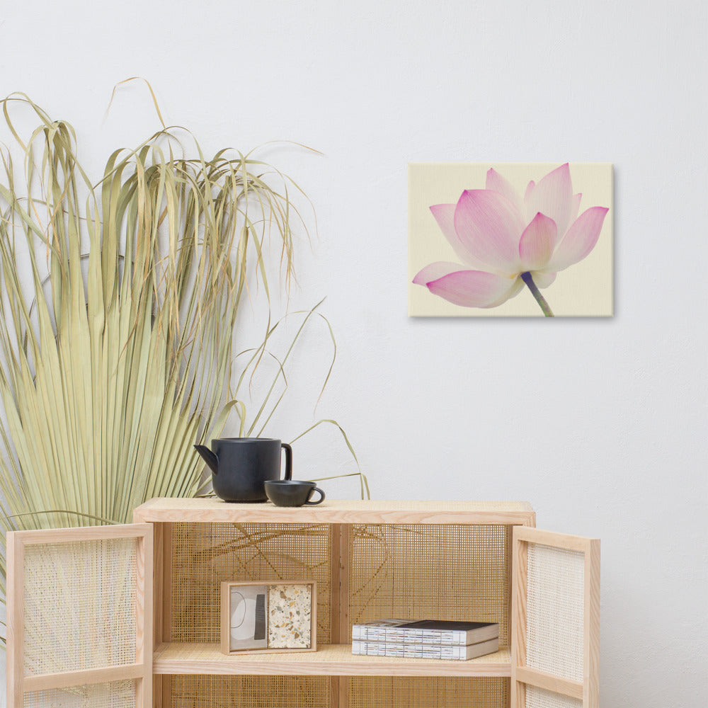 Lotus Flower Creamy Haze Effect Floral Nature Photo Canvas Wall Decorating Art Print 18??24 - PIPAFINEART