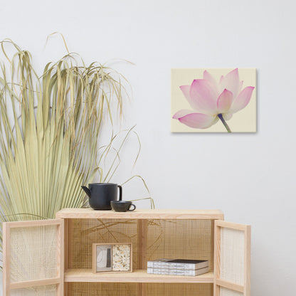 Lotus Flower Creamy Haze Effect Floral Nature Photo Canvas Wall Decorating Art Print 18??24 - PIPAFINEART