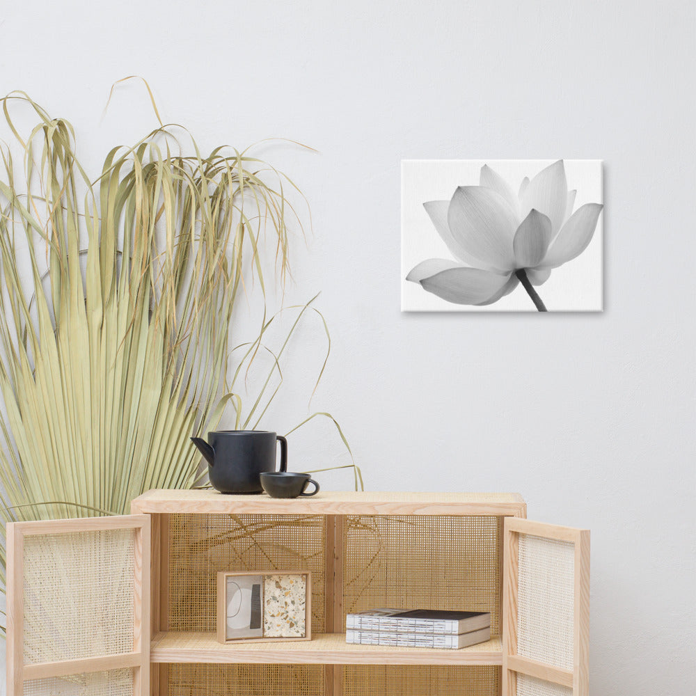 Lotus Flower Black and White Floral Nature Photo Canvas Wall Decorating Print 18??24 - PIPAFINEART