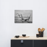 Beach Scene Canvas Wall Art: Driftwood on Boneyard Beach Florida 3 Black and White Rustic Coastal Landscape Photo Canvas Wall Art Print