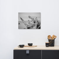 Large Canvas Beach Art: Driftwood on Boneyard Beach Florida 4 Black and White Coastal Nature Photo Canvas Wall Art Print