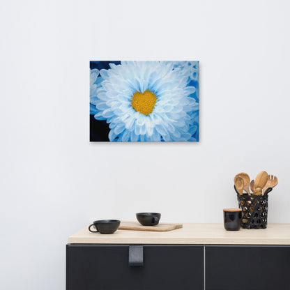 Blue Botanical Wall Art: Blue Tinted Chrysanthemums Nature Photo For Ukraine Refugees Floral Canvas Wall Art Print