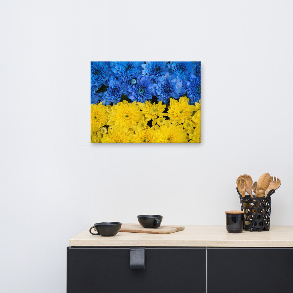 Yellow Floral Canvas: Blue and Yellow Chrysanthemums Nature Photo For Ukraine Refugees Nature Photo Canvas Wall Art Print