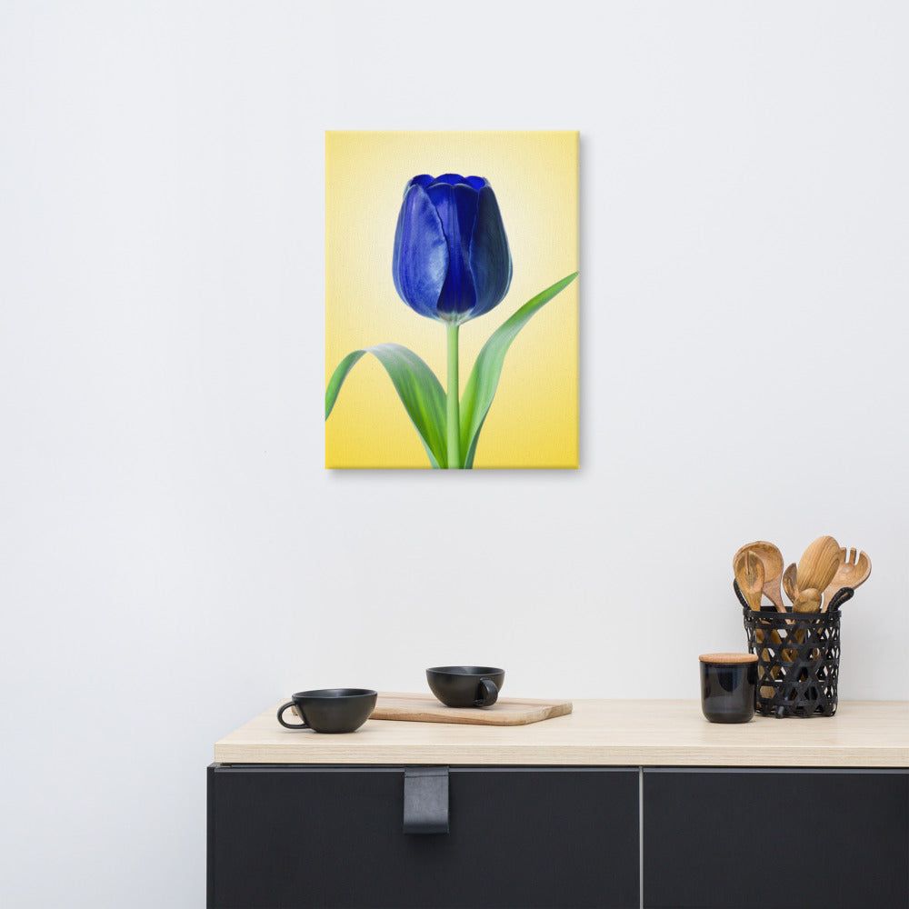 Canvas Flower Pictures: Blue Tulip Minimal Floral Nature Photo - For Ukraine Refugees Canvas Wall Art Print