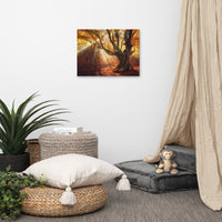 Old Magical Tree in Forest with Glory Rays Landscape Photo Canvas Wall Art Prints