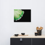 Water Droplet on Carnation Petal Floral Nature Canvas Wall Art Prints