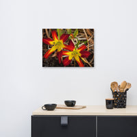 Royal Sunset Lily Floral Nature Canvas Wall Art Prints