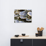 Mushrooms on Log Floral Nature Canvas Wall Art Prints