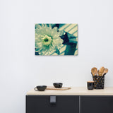 Melancholy Flower Floral Nature Canvas Wall Art Prints