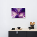 Iris Center Petals Floral Nature Canvas Wall Art Prints