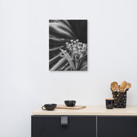 Bloodflowers and Palm Black and White Floral Nature Canvas Wall Art Prints