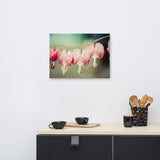 Be Still My Bleeding Heart Colorized Floral Nature Canvas Wall Art Prints
