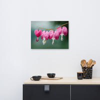 Be Still My Bleeding Heart Floral Nature Canvas Wall Art Prints