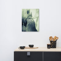 Abstract Japanese Iris Delight Flower Floral Nature Canvas Wall Art Prints