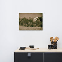 Abandoned Barn In The Trees Vintage Rural Landscape Canvas Wall Art Prints