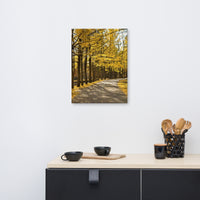 Fall Path Rural Landscape Canvas Wall Art Prints