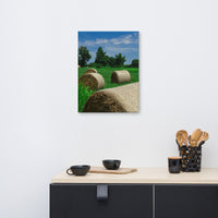 Hay Whatcha Doin' in the Field Rural Landscape Canvas Wall Art Prints