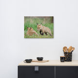 Baby Red Foxes Coming to Get You Wildlife Photo Canvas Wall Art Prints