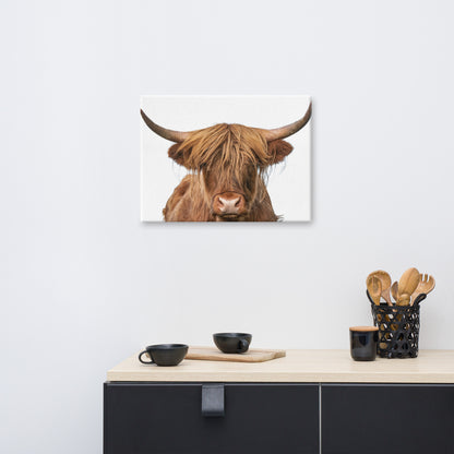 Golden Highland Cow Minimal Animal / Wildlife Photo Canvas Wall Art Prints
