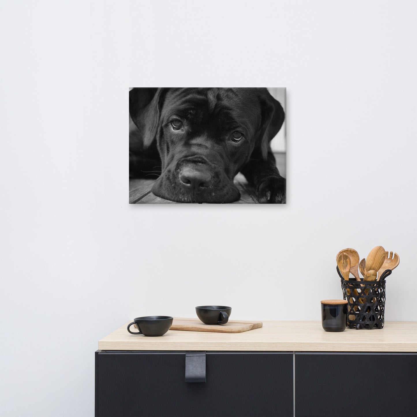 Cane Corso on Porch Animal / Dog Black & White Canvas Wall Art Prints