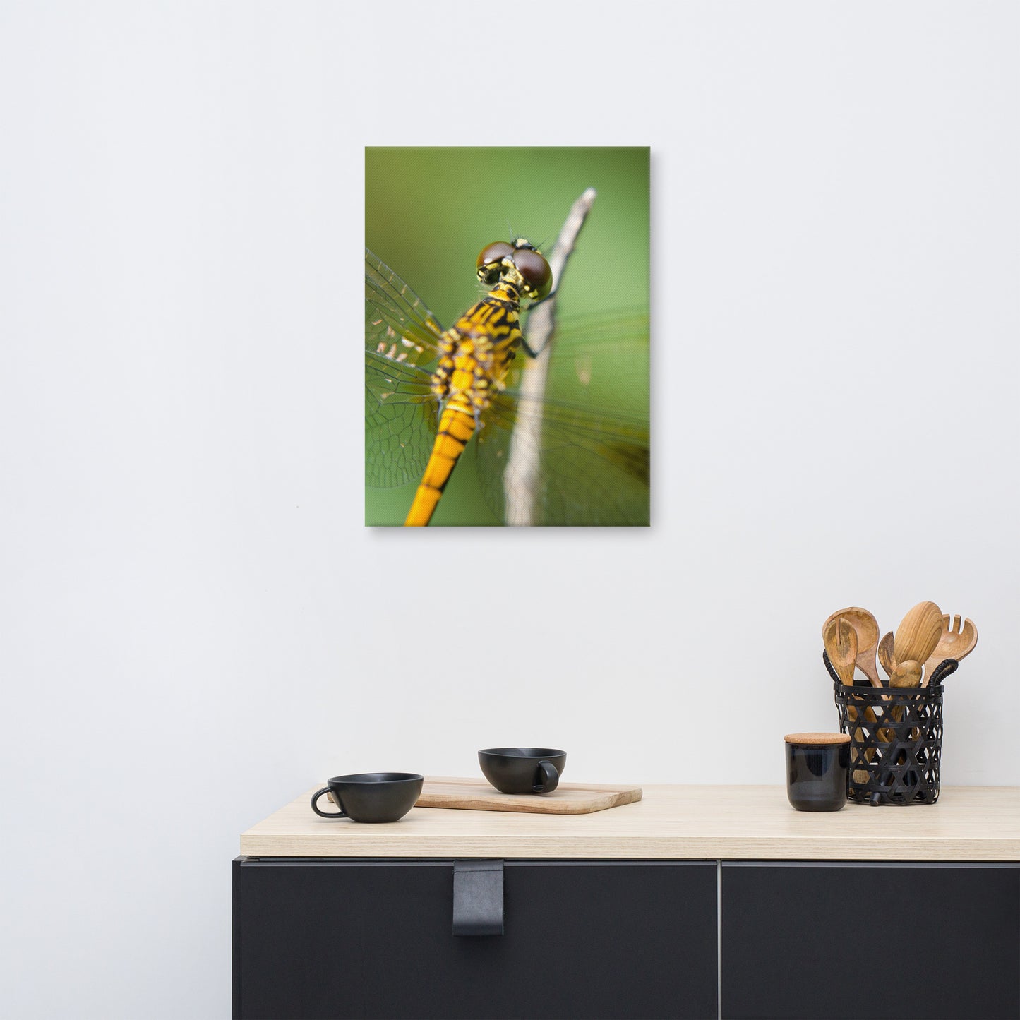 Dragonfly at Bombay Hook Animal / Wildlife Photograph Canvas Wall Art Prints