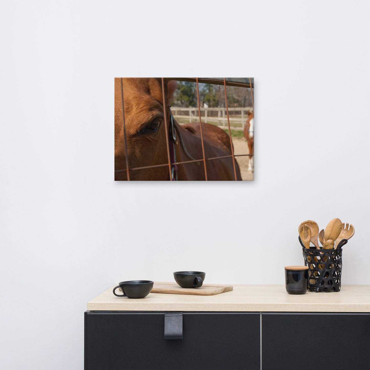 Fenced In Animal / Horse Photograph Canvas Wall Art Prints