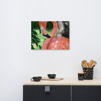 Pinky the Pink Flamingo Animal / Wildlife Photograph Canvas Wall Art Prints