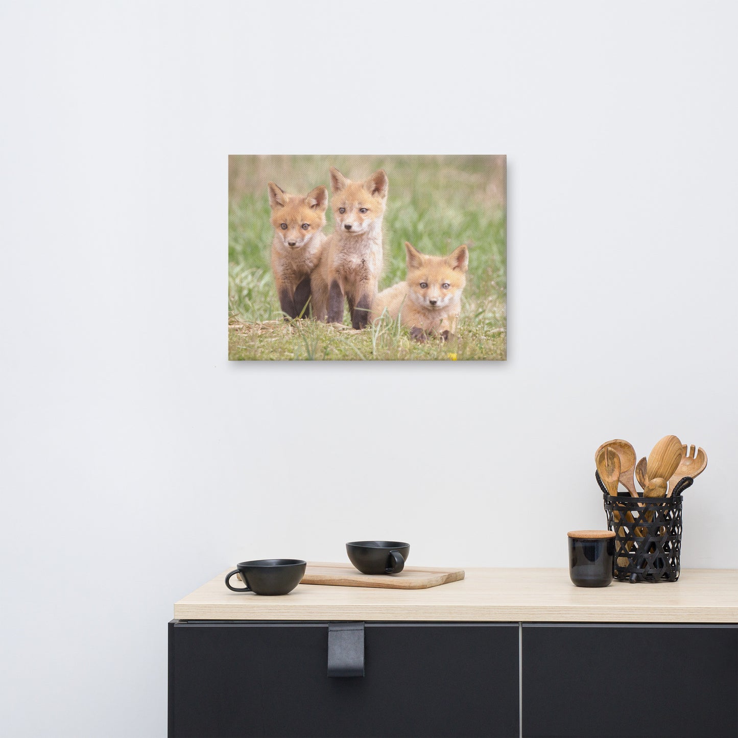 Baby Red Foxes Siblings Animal / Wildlife Photograph Canvas Wall Art Prints