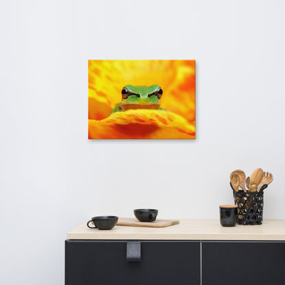 Hyla Green Frog on Yellow and Orange Flower Petals Wildlife Floral Nature Photo Canvas Wall Art Print