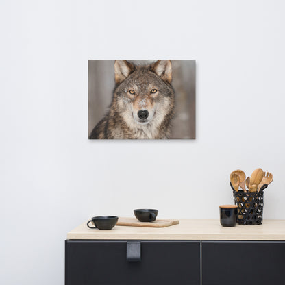 Portrait of Gray Wolf In The Forest Animal Wildlife Nature Photograph Canvas Wall Art Prints