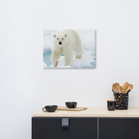 Giant White Polar Bear Walking On Icy Lake Animal Wildlife Photograph Canvas Wall Art Prints