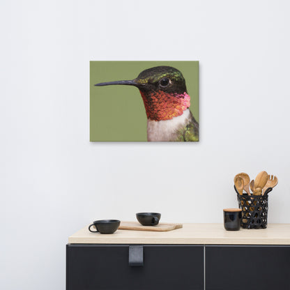 Close-up Ruby-throated Hummingbird Animal Wildlife Photograph Canvas Wall Art Prints