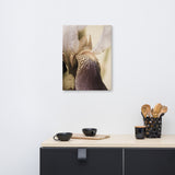 Japanese Iris Delight Aged Floral Nature Canvas Wall Art Prints