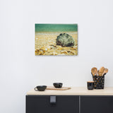 Daydreams on the Shore Coastal Nature Canvas Wall Art Prints