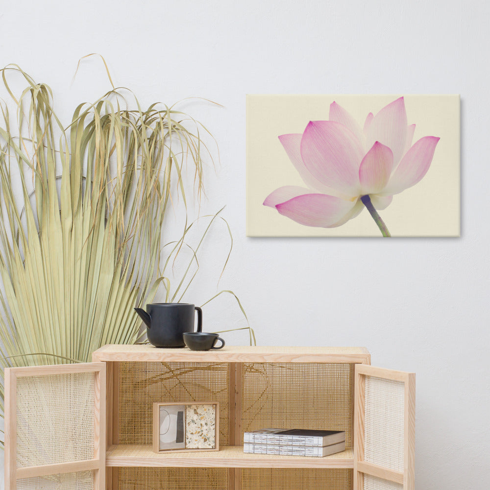 Lotus Flower Creamy Haze Effect Floral Nature Photo Canvas Wall Decorating Art Print 24??36 - PIPAFINEART