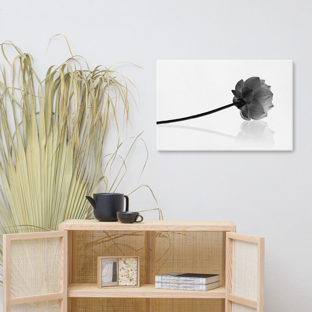 Resting Lotus Flower Black & White Floral Nature Photo Canvas Wall Decorating Art Print 24??36 - PIPAFINEART