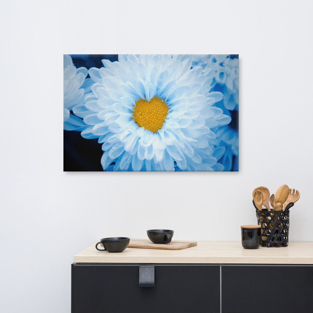 Blue Flower Canvas Wall Art: Blue Tinted Chrysanthemums Nature Photo For Ukraine Refugees Floral Canvas Wall Art Print