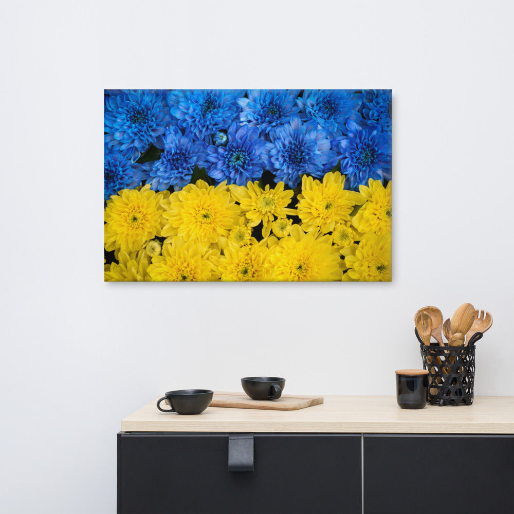 Flower Canvas: Blue and Yellow Chrysanthemums Nature Photo For Ukraine Refugees Nature Photo Canvas Wall Art Print
