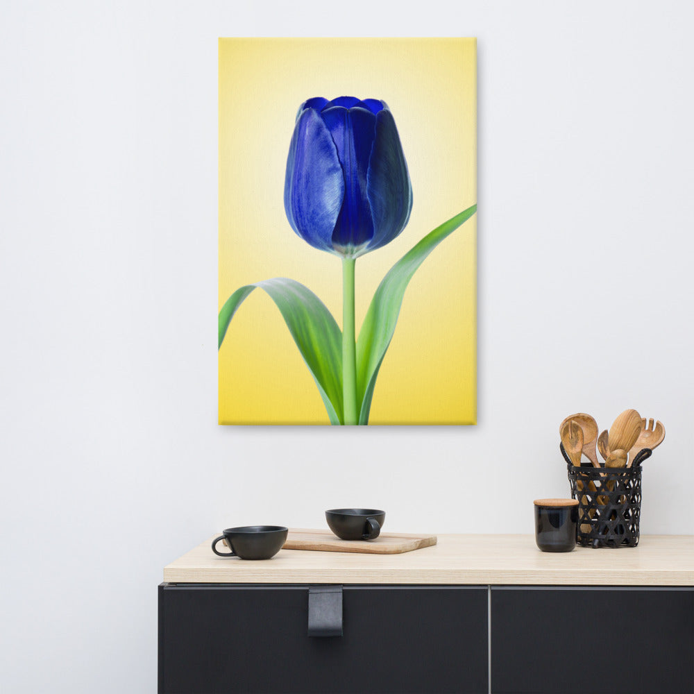 Blue Floral Canvas Wall Art: Blue Tulip Minimal Floral Nature Photo - For Ukraine Refugees Canvas Wall Art Print