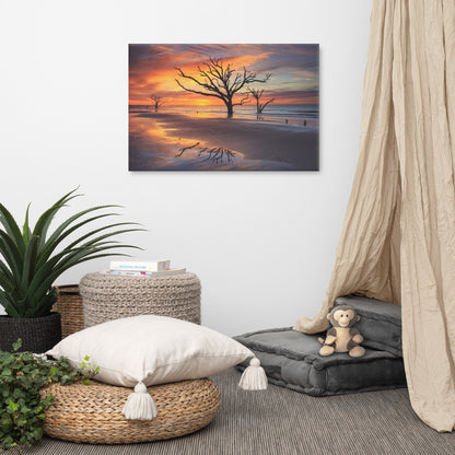 Sunrise and Trees At Edisto Island Coastal Landscape Photo Canvas Wall Art Prints