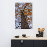 Wind in the Trees Botanical Nature Canvas Wall Art Prints