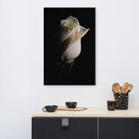 White Rose Low Key Floral Nature Canvas Wall Art Prints