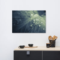 Rain Dropping on Canna Leaf Botanical Nature Canvas Wall Art Prints