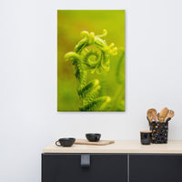Nature's Perfection Botanical Nature Canvas Wall Art Prints