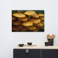 Mushroom Family Botanical Nature Canvas Wall Art Prints