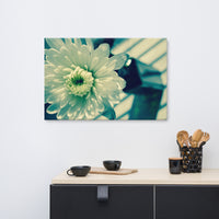 Melancholy Flower Floral Nature Canvas Wall Art Prints