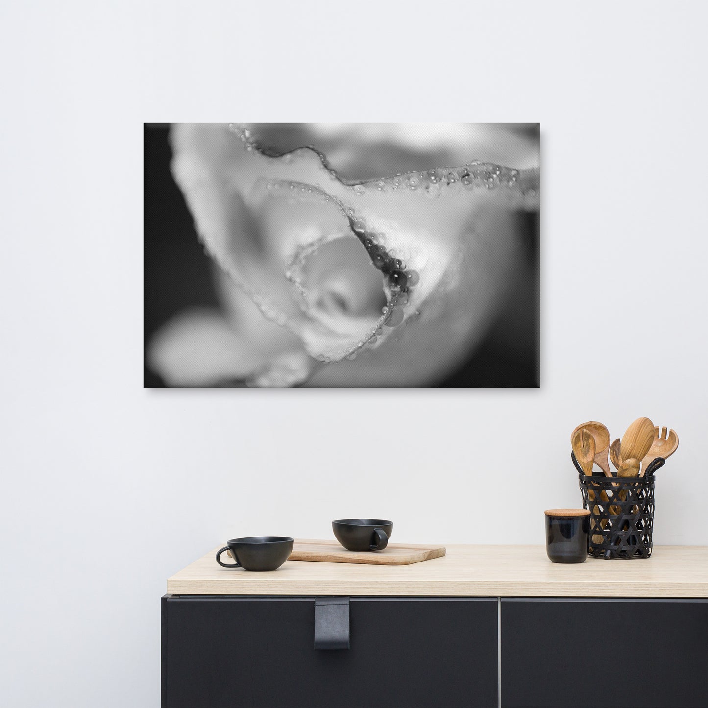 Infrared Rose Black and White Floral Nature Canvas Wall Art Prints